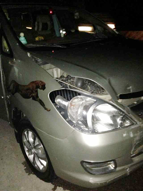 Phần đầu xe cũng thảm thương không kém.