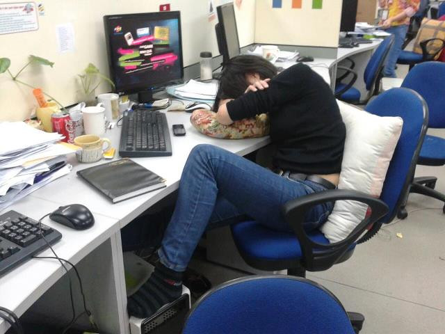 Ngủ bất cứ nơi đâu... kể cả văn phòng làm việc?