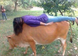 Giới trẻ Việt cũng mê mải ảnh 'nằm sấp' (còn gọi là planking) Những người yêu thích trào lưu "chụp ảnh nằm sấp" coi đây là một công cụ xả tress hiệu quả. Tuy nhiên, nếu bạn muốn thử những bức ảnh độc đáo này cần lưu ý rằng không ít người đã gặp tai nạn khi cố gắng chụp những ảnh nằm sấp độc.