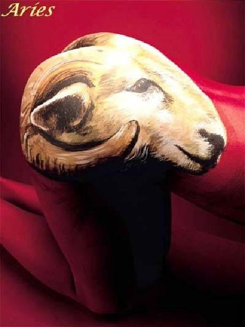 Bạch Dương (21/3 - 19/4) Bạch Dương khá bận rộn trong ngày cuối tuần này, nhưng may mắn là bạn không phải di chuyển nhiều để giải quyết công việc. Vào đầu ngày, ba mẹ có thể mang đến những món quà đầy ý nghĩa, khích lệ tinh thần của bạn lên rất nhiều. Tuy nhiên, dù điều kiện có thuận lợi đến đâu mà nếu không cố gắng thì kết quả cũng không chứng tỏ được điều gì cả. Bạch Dương (21/3 - 19/4) Bạch Dương khá bận rộn trong ngày cuối tuần này, nhưng may mắn là bạn không phải di chuyển nhiều để giải quyết công việc. Vào đầu ngày, ba mẹ có thể mang đến những món quà đầy ý nghĩa, khích lệ tinh thần của bạn lên rất nhiều. Tuy nhiên, dù điều kiện có thuận lợi đến đâu mà nếu không cố gắng thì kết quả cũng không chứng tỏ được điều gì cả.