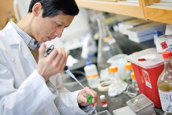 Muốn trở thành đại học định hướng nghiên cứu thì tỷ lệ sinh viên trên giảng viên không quá 20; tỷ lệ giảng viên cơ hữu có trình độ tiến sĩ không thấp hơn 50% tổng số giảng viên cơ hữu của cơ sở giáo dục đại học (Ảnh minh họa: VNU)