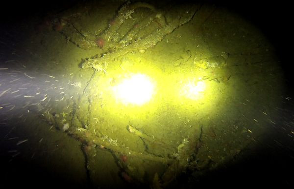 Những con sao biển, hải quỳ và bọt biển bám trên rào chắn an toàn của tàu Terra Nova như “một ốc đảo nhỏ mà con tàu đã tạo ra”. Những con sao biển, hải quỳ và bọt biển bám trên rào chắn an toàn của tàu Terra Nova như “một ốc đảo nhỏ mà con tàu đã tạo ra”.