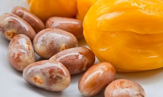 Khi sử dụng hạt mít kết hợp cùng mật ong theo đúng công thức sẽ tạo nên hỗn hợp tuyệt vời giúp phòng chống nhiều bệnh. Khi sử dụng hạt mít kết hợp cùng mật ong theo đúng công thức sẽ tạo nên hỗn hợp tuyệt vời giúp phòng chống nhiều bệnh.