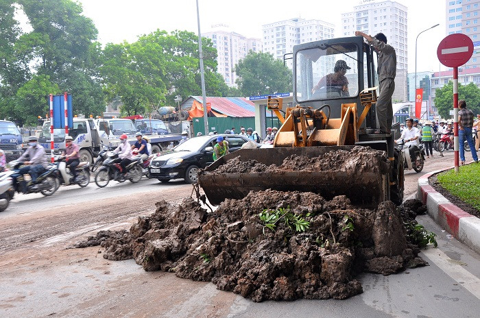 Lượng bùn đất được gom lại và đưa đi