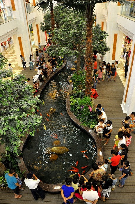 Khu vực giếng cá luôn thu hút sự chú ý của các em nhỏ.