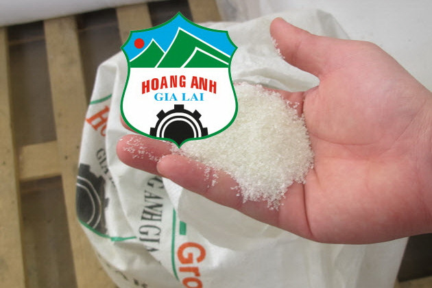 Lĩnh vực mía đường thời gian qua đóng góp rất lớn trong tổng doanh thu của HAGL Lĩnh vực mía đường thời gian qua đóng góp rất lớn trong tổng doanh thu của HAGL