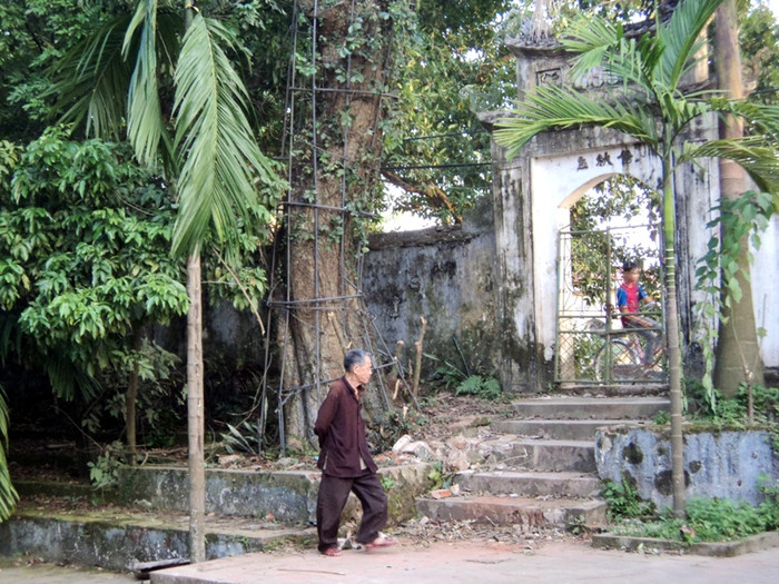 Sự nuối tiếc của một cụ ông với phần gỗ sưa đã bị cưa trộm