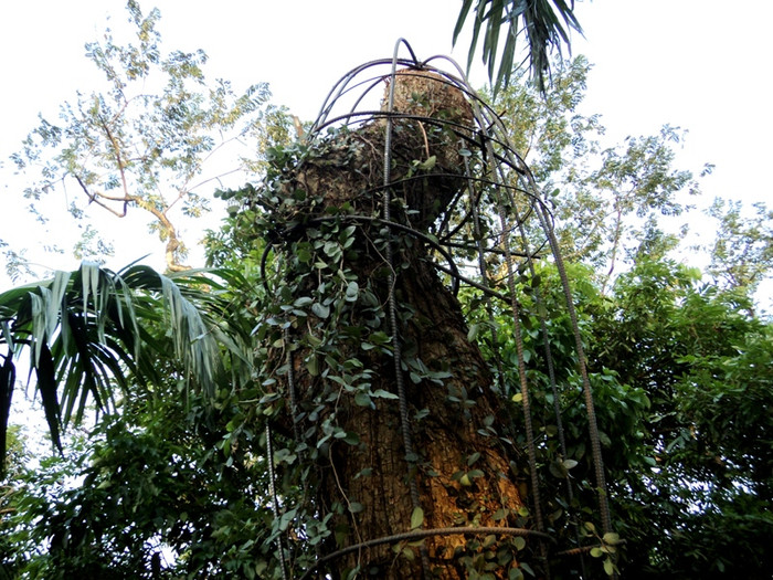 Vụ việc đã gây bức xúc và hoang mang trong dư luận nơi đây.