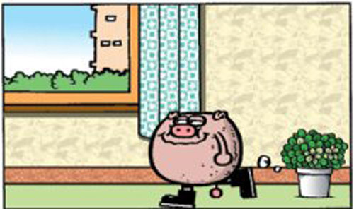 Một hôm, heo con đi về nhà?