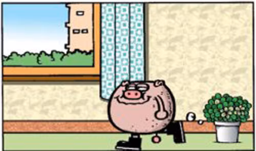 Một hôm, heo con đi về nhà?