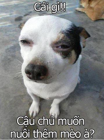 BẤM ĐÂY XEM TRỌN BỘ DOREAMON CHẾ: Doremon chế: Mon và Nô đi lính Doremon chế: Chị Nô đi thi hoa hậu Doremon chế: Tình yêu như xăng tăng giá Doremon chế: Nobita làm thơ CHÙM ẢNH CỰC ĐỘC CHỈ CÓ TẠI TRUNG QUỐC: Hình ảnh "cực độc" về phụ nữ chỉ có tại láng giềng Trung Quốc (P11) Hình ảnh "cực độc" về phụ nữ chỉ có tại láng giềng Trung Quốc (P10) Thiếu nữ Trung Quốc với phong cách cực độc: "cởi trần" chơi game