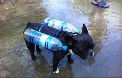 Phải như thế này mới qua được mùa mưa bão.