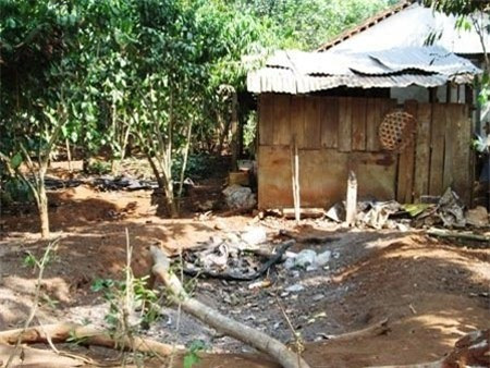 Lời khai rúng động của vợ bí thư xã giết người, đốt xác ảnh 1 Lời khai rúng động của vợ bí thư xã sát nhân, An ninh Xã hội, Vo bi thu xa giet nguoi, vo bi thu xa chem nguoi, vo bi thu xa no hang chuc ty dong, an mang, giet nguoi, xuong nguoi bi dot, trong an, xuong nguoi, cong an, bao cong an, an ninh, tin an ninh, bao an ninh, tin phap luat, phap luat, bao phap luat, tin nhanh, tin moi, tin tức, tin tuc online, tin hay, tin nong, bao dien tu, bao xa hoi, bao vn, bao, xa hoi, vn