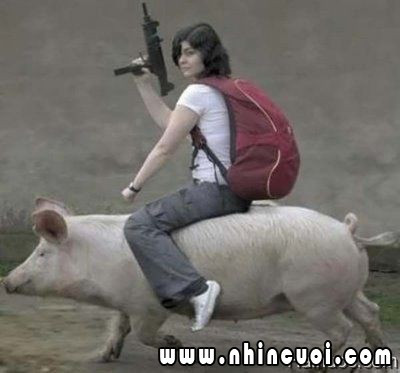 Dù rằng chẳng biết ngựa phi Nhưng mà lợn cưỡi thì đi cũng đành