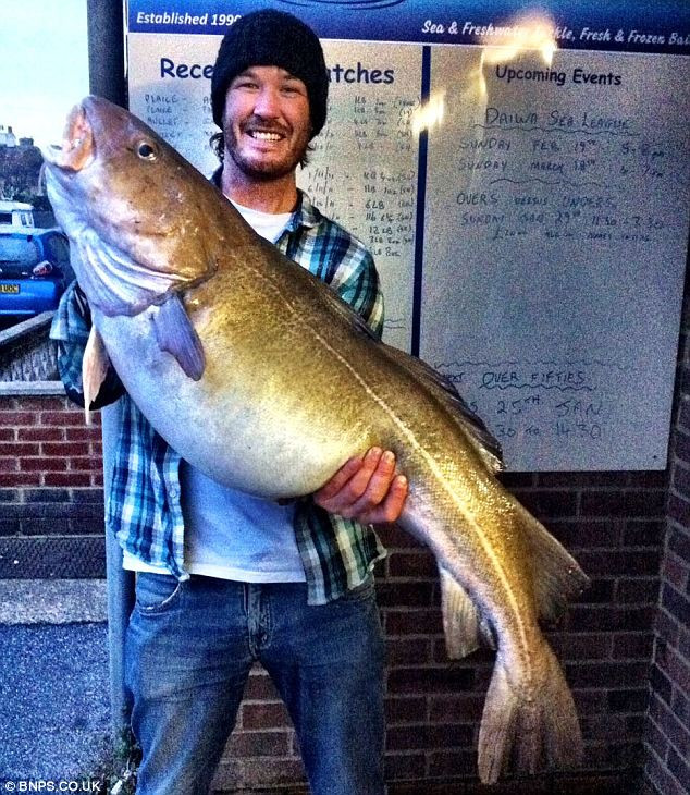 Giá của con cá khổng lồ này là khoảng 471 đô la