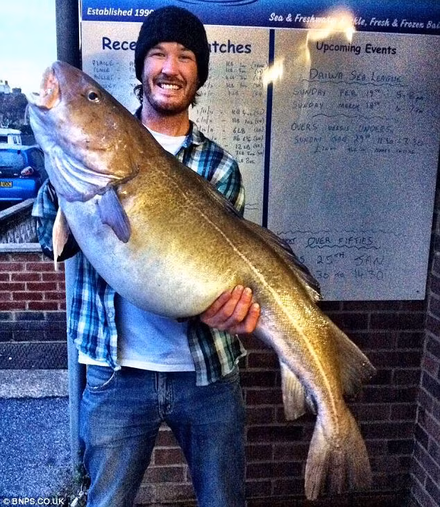 Giá của con cá khổng lồ này là khoảng 471 đô la