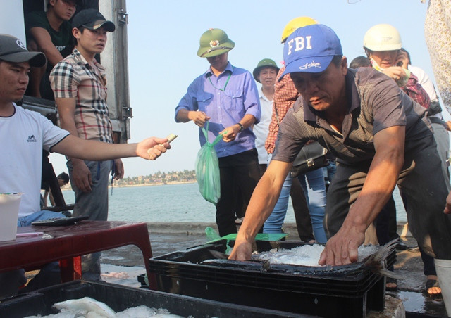 Cá biển đánh bắt xa bờ được kiểm chứng an toàn, tiêu thụ rất tốt. (Ảnh: Thủy Phan) Cá biển đánh bắt xa bờ được kiểm chứng an toàn, tiêu thụ rất tốt. (Ảnh: Thủy Phan)