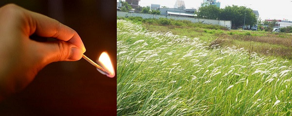 Nước mắt của Tổng Bí thư và sự tha hóa của cán bộ ảnh 1 Nước mắt của Tổng Bí thư và sự tha hóa của cán bộ ảnh 1