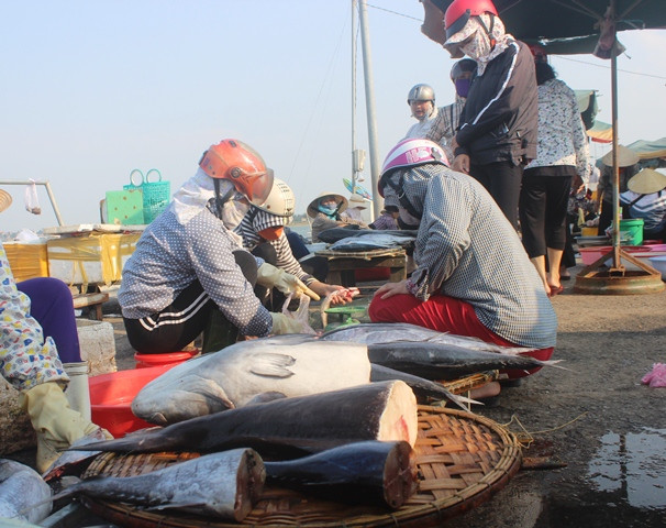 Cá biển đánh bắt xa bờ bán chạy, hết hàng ảnh 4 Cá biển đánh bắt xa bờ bán chạy, hết hàng ảnh 4