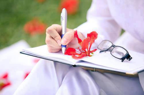 Hoàng Phủ Ngọc Tường ơi! ảnh 2