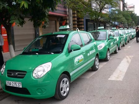 Tập đoàn Mai Linh: 