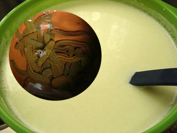 Thời gian qua, nhiều doanh nghiệp sữa, bánh kẹo, thực phẩm liên tục bị "dính" tin đồn có đỉa. (ảnh minh họa)