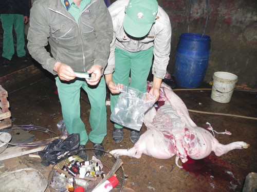 Phát hiện 19 lọ thuốc Prozil (thuốc an thần), trong đó 16 lọ đã sử dụng, 3 lọ đang sử dụng, 1 ống xi lanh nhựa đang đựng thuốc Prozil tại hiện trường lò mổ của người dân thuộc xã Vĩnh Lộc (huyện Bình Chánh).. (Ảnh: TNO) Phát hiện 19 lọ thuốc Prozil (thuốc an thần), trong đó 16 lọ đã sử dụng, 3 lọ đang sử dụng, 1 ống xi lanh nhựa đang đựng thuốc Prozil tại hiện trường lò mổ của người dân thuộc xã Vĩnh Lộc (huyện Bình Chánh).. (Ảnh: TNO)