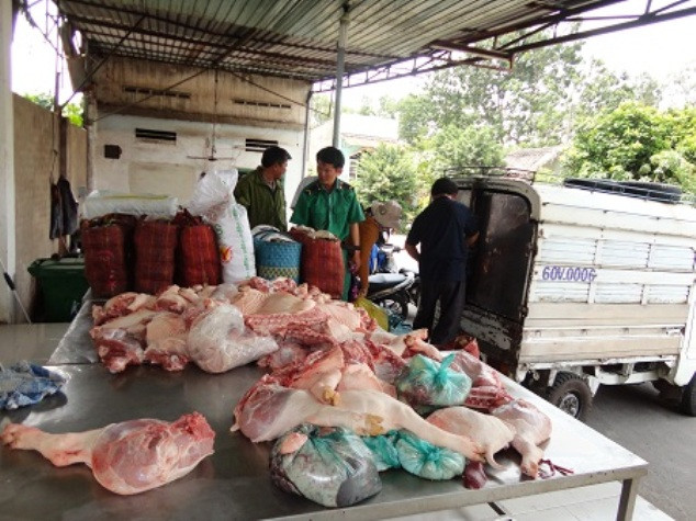 Người tiêu dùng lo ngại khi thực phẩm bẩn xuất hiện ở khắp nơi đặc biệt lthực phẩm tươi sống (Một vụ chở thịt heo bẩn đi tiêu thụ vừa được phát hiện ở TP.HCM) Người tiêu dùng lo ngại khi thực phẩm bẩn xuất hiện ở khắp nơi đặc biệt lthực phẩm tươi sống (Một vụ chở thịt heo bẩn đi tiêu thụ vừa được phát hiện ở TP.HCM)