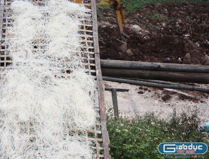 Miến được phơi sát trên nền đất đang đào bới. Miến được phơi sát trên nền đất đang đào bới.