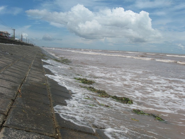 Dười biển là nước đục ngầu và rác Dười biển là nước đục ngầu và rác