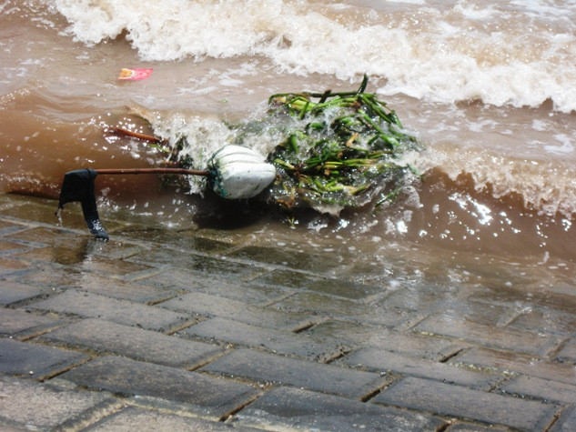 Không những bèo mà mọi thứ rác thải cũng trôi dạt vào bờ kè