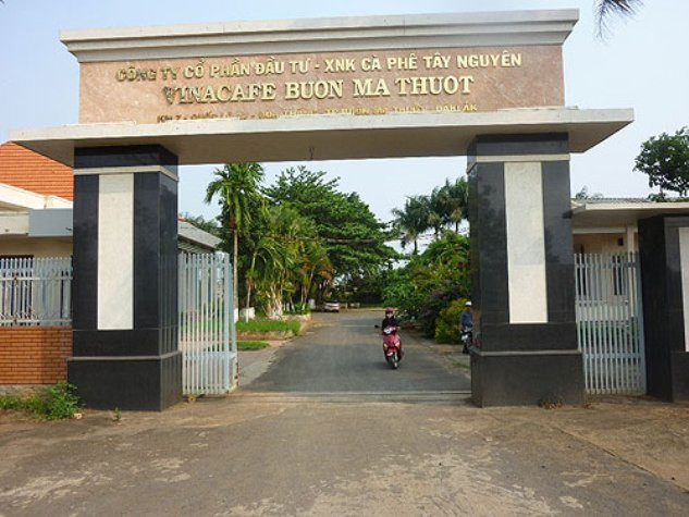 Không đầu tư ngoài ngành, tín dụng vay từ ngân hàng được hỗ trợ nhiều năm nhưng nhiều doanh nghiệp nội vẫn đứng trên bờ vực phá sản. Không đầu tư ngoài ngành, tín dụng vay từ ngân hàng được hỗ trợ nhiều năm nhưng nhiều doanh nghiệp nội vẫn đứng trên bờ vực phá sản.