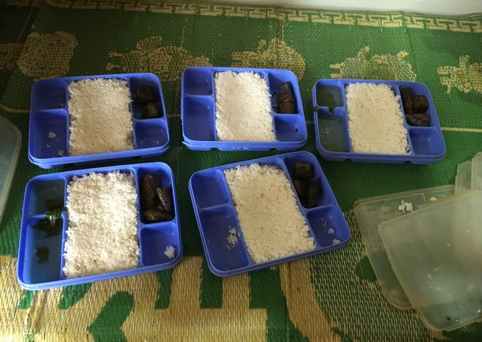 Kỷ luật Hiệu trưởng Trường trung học cơ sở Điệp Nông vì bị tố nhiều sai phạm ảnh 5