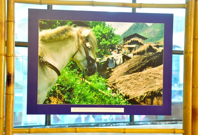 Ngựa là một con vật trung thành và là hình ảnh của sự kiên nhẫn, sức bền bỉ, lâu dài, sự may mắn mang lại tài lộc, phát đạt. Ngựa là một con vật trung thành và là hình ảnh của sự kiên nhẫn, sức bền bỉ, lâu dài, sự may mắn mang lại tài lộc, phát đạt.