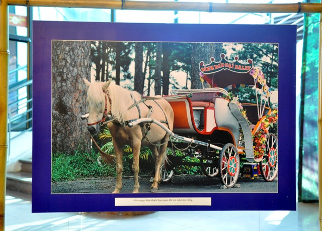 Xe ngựa đưa khách du lịch dạo phố ở Đà Lạt (Lâm Đồng). Xe ngựa đưa khách du lịch dạo phố ở Đà Lạt (Lâm Đồng).