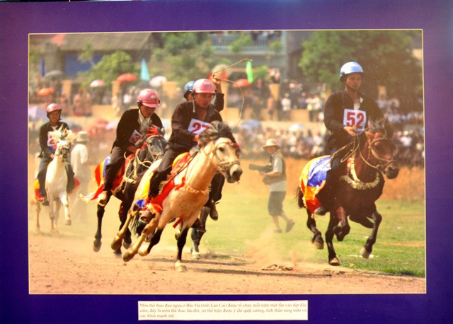 Cuộc thi ngựa ở Bắc Hà (Lào Cai). Cuộc thi ngựa ở Bắc Hà (Lào Cai).