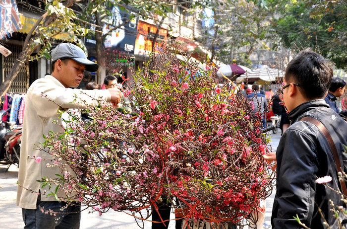 Chợ hoa truyền thống Hàng Lược nổi tiếng nhất ở Hà Nội bởi nơi đây tập trung nhiều hàng hóa đa dạng.