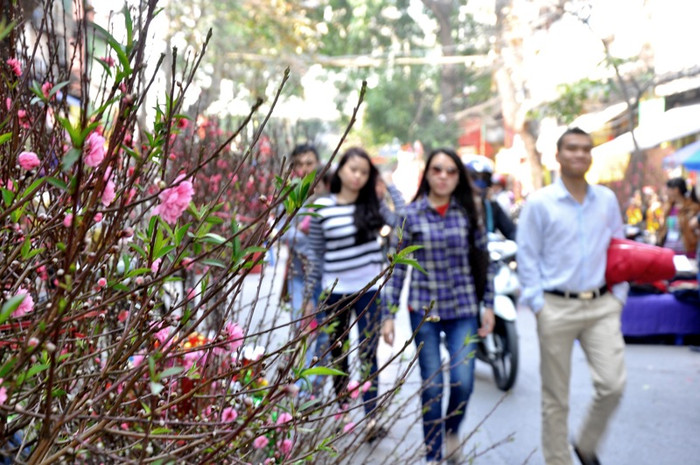 Đã thành phong tục, người Hà Nội đi chợ Hàng Lược không chỉ mua sắm mà còn là để chơi Tết và thăm quan.