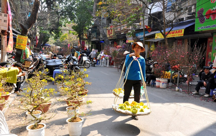 Mai vàng cũng xuất hiện khá nhiều ở chợ hoa Hàng Lược trong nhiều năm qua.