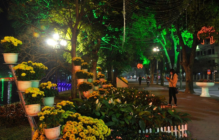 Những giỏ hoa cúc tươi cũng đang khoe mình dưới ánh điện lung linh. Những giỏ hoa cúc tươi cũng đang khoe mình dưới ánh điện lung linh.