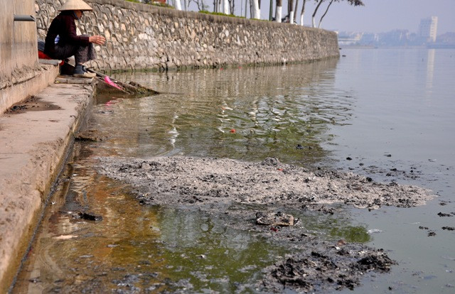 Mặt nước hồ Tây lênh láng tro bụi sau khi người dân thả xuống. Mặt nước hồ Tây lênh láng tro bụi sau khi người dân thả xuống.