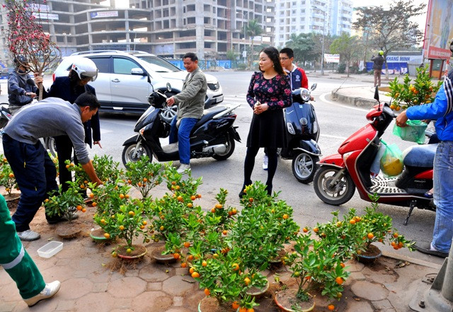 1.000 cây quất mini được vợ chồng anh Mích bán từ ngày 22 tháng Chạp. Mỗi ngày vợ chồng anh bán được hơn 100 cây.