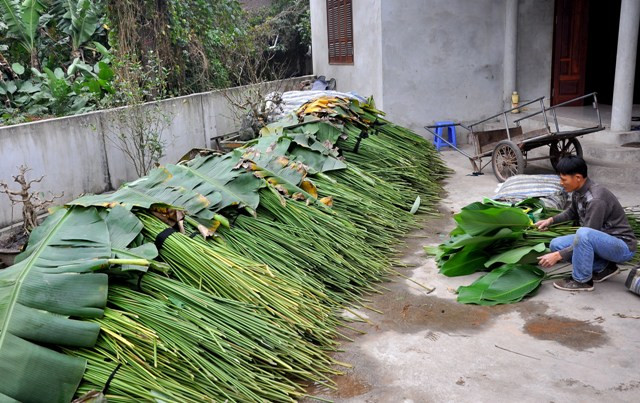 Lá dong được cắt từ ruộng về và dầm nước để giữ độ ẩm đảm bảo lá xanh tươi nhiều ngày.