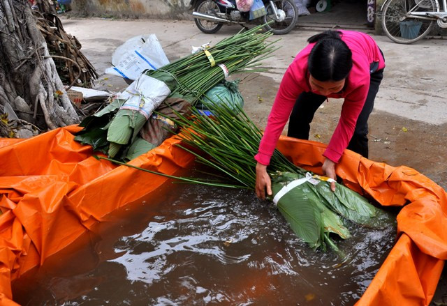 Lá dong được dúng nước trước khi bỏ vào đống lá.