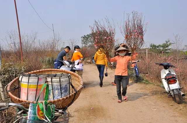 Chị Trần Thị Oanh (Việt Yên, Bắc Giang) đã hơn 3 năm buôn đào dịp Tết ở Hà Nội chia sẻ: “Tôi cùng mấy chị em trong làng, cứ đến cuối năm là lại về vườn đào này mua cành đi xuống phố bán. Mỗi cành đào chúng tôi bán ra cũng lãi được 20. 000 - 30.000 đồng”.
