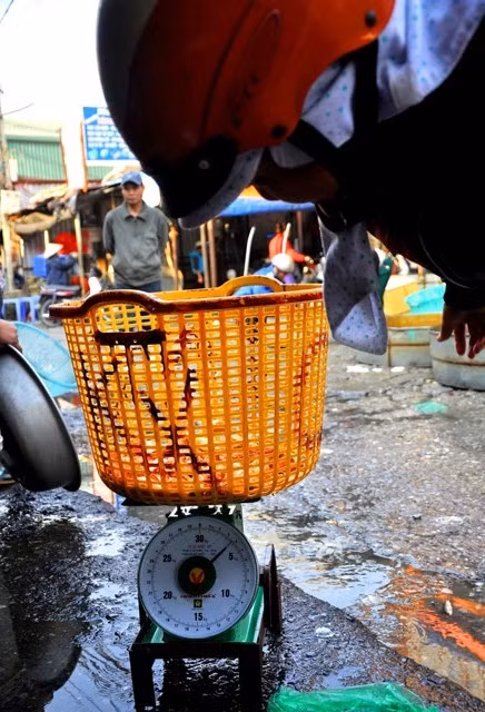 Là chợ đầu mối, cá ở đây chỉ bán theo cân. Là chợ đầu mối, cá ở đây chỉ bán theo cân.