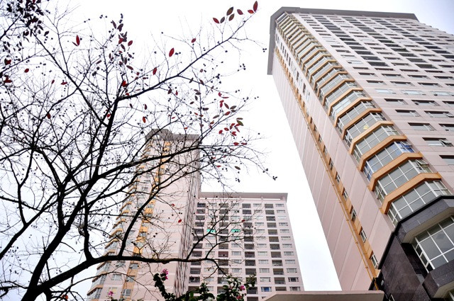 Những ngôi nhà cao tầng cũng đẹp hơn bởi những sắc màu lá đỏ.