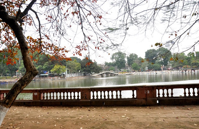 Cây bằng lăng ngả màu lá đỏ bên ven hồ Thủ Lệ.