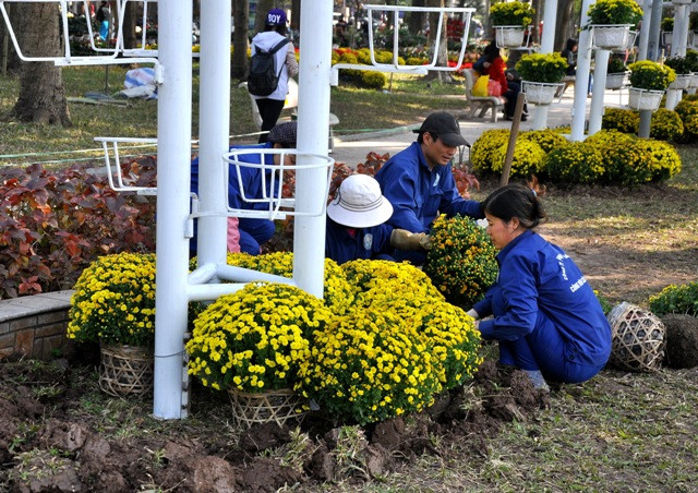 Hoa tươi được dâm xuống luôn dưới đất và có thêm những bồn hoa đẹp. Hoa tươi được dâm xuống luôn dưới đất và có thêm những bồn hoa đẹp.