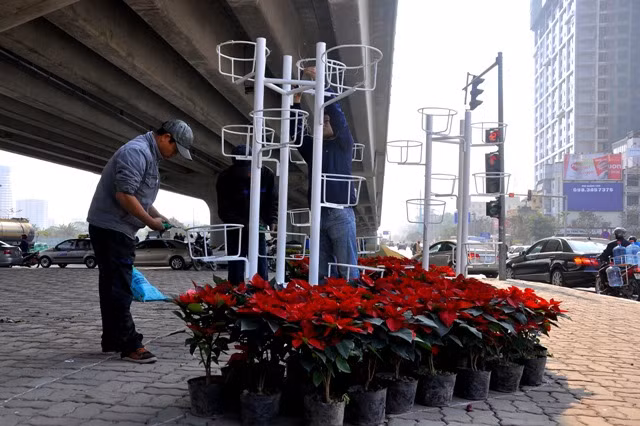 Tại ngã tư Khuất Duy Tiến – Phạm Hùng, các nhân viên công ty môi trường Vườn thú Hà Nội đang khẩn trương làm những dàn hoa cuối cùng tại đây. Tại ngã tư Khuất Duy Tiến – Phạm Hùng, các nhân viên công ty môi trường Vườn thú Hà Nội đang khẩn trương làm những dàn hoa cuối cùng tại đây.